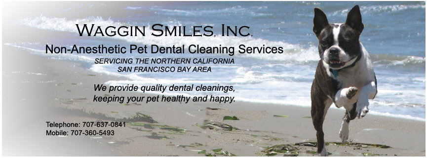 Waggin Smiles